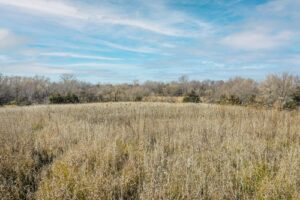 Kerns' remnant prairie