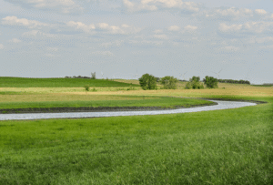 Stream